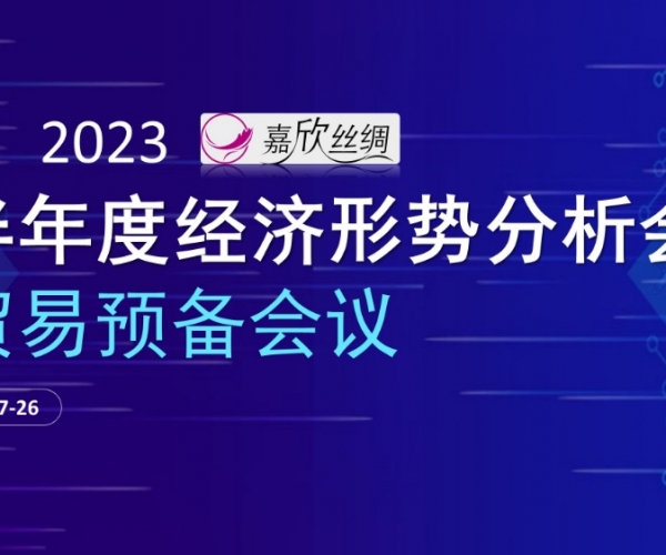 贸易总额稳定，，，，，，，贸易质量提升 尊龙凯时丝绸召开2023半年度经济形势分析会贸易预备会议